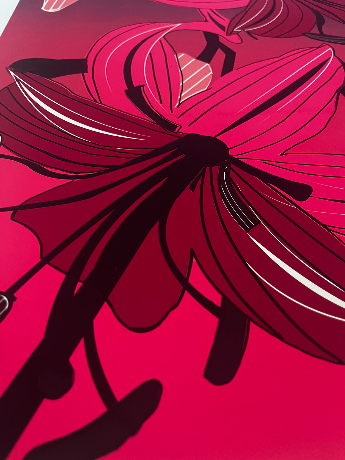 Loud Lilies