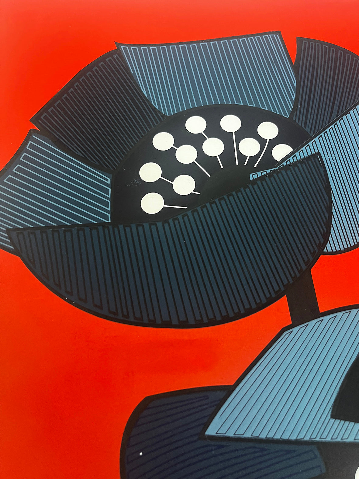 Solar Bloom